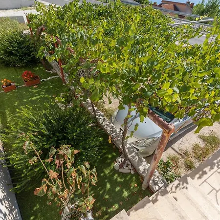 Perak * ميميتسا