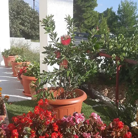 Perak ميميتسا